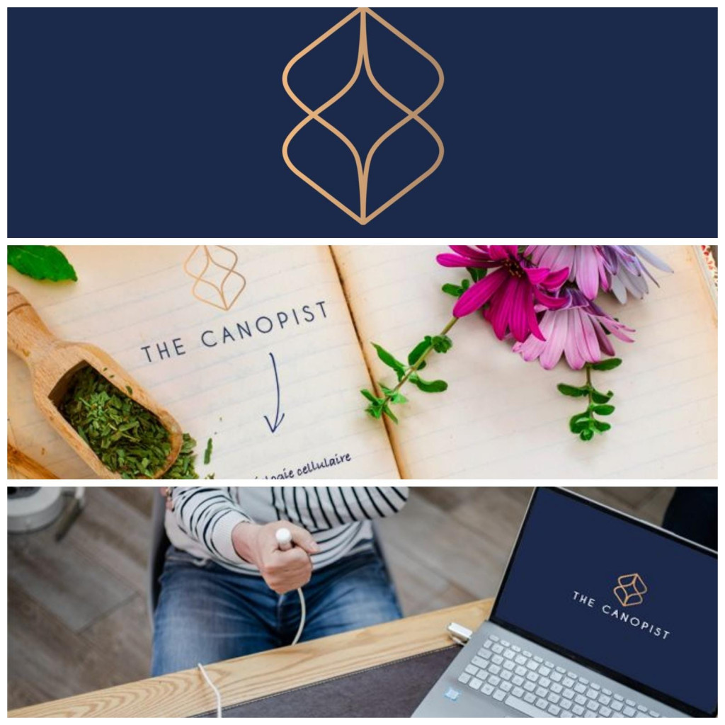45utpj-franchise-the-canopist-2.jpeg