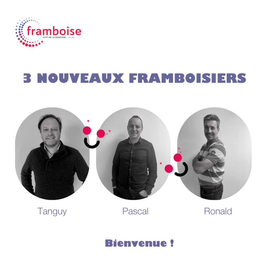 agd9i8-consultatnts-franchise-framboise-consulting-.png