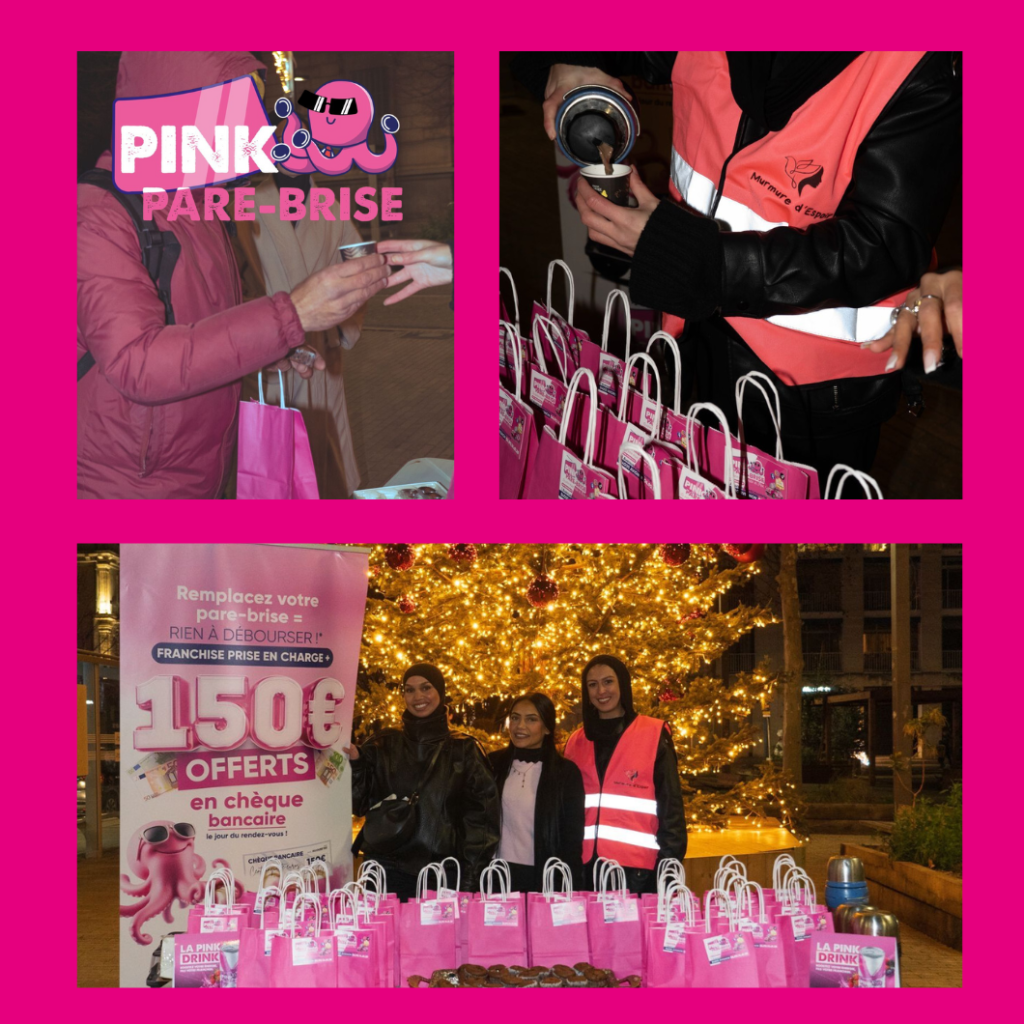 gcc91y-pink-pare-brise-action-solidaire-noel.png