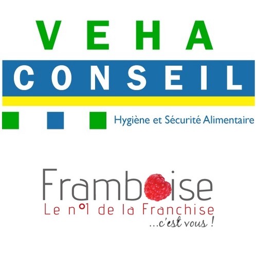 gl7b2d-logo-veha-conseil-framboise.jpg