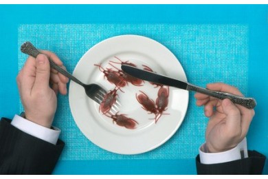 Les profils recherchés par Veha Conseil - construire des relations sur le long terme