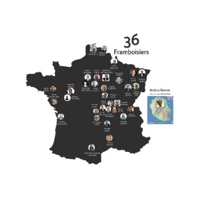 Framboise Consulting poursuit son développement et compte désormais 36 consultants en franchise
