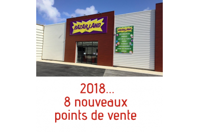 L\'heure du bilan 2018 chez Bazarland