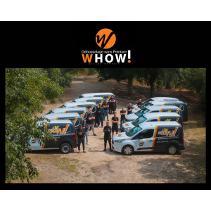 WHOW : un réseau solidaire où l’indépendance rime avec esprit d’équipe