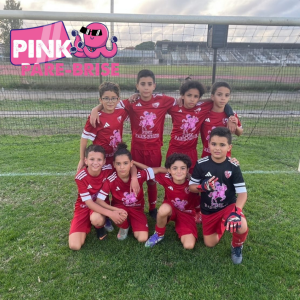 Pink Pare Brise devient sponsor de l’équipe U10 de Piolenc