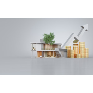 Franchise rentable : Comment trouver le meilleur investissement