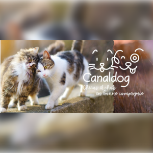 CanalDog célèbre la Journée mondiale des animaux