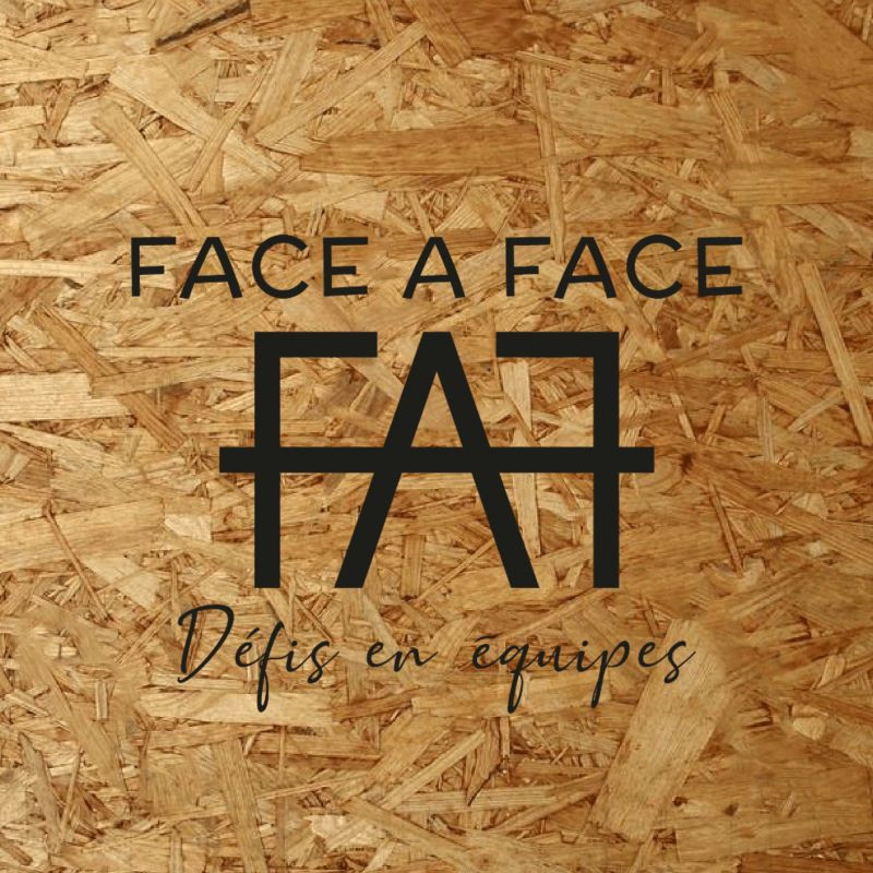 sm55zi-logo-new-face-face.jpg