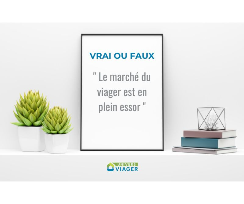 wsmie3-franchise-univers-viager.jpg