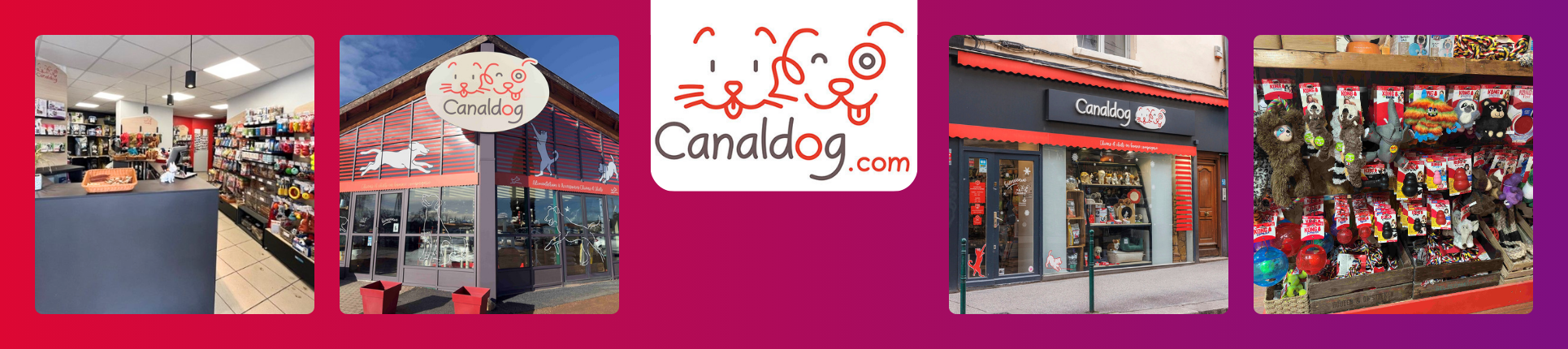CANALDOG